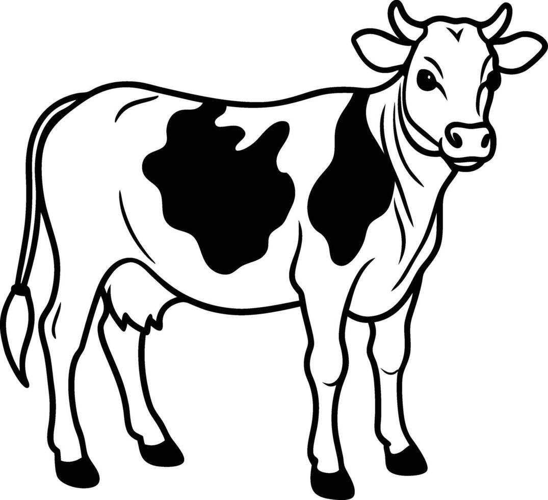 Cow